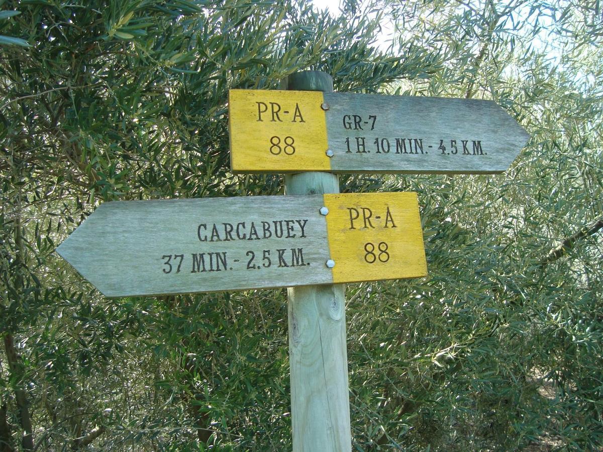 Casilla Dalea En Carcabuey, Descubre El Interior De Andalucia Villa Eksteriør billede